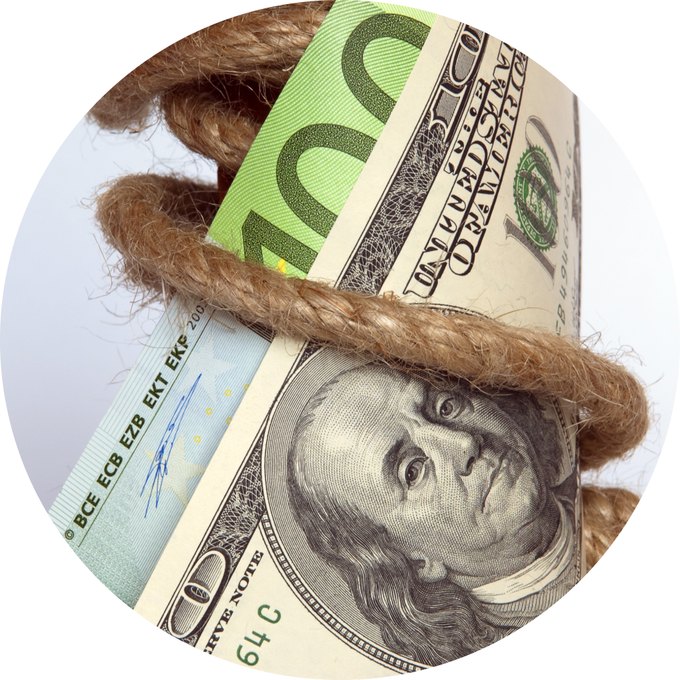 WORKING WITH A BUDGET